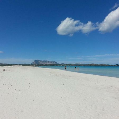 Casa Vacanza سان تيودورو المظهر الخارجي الصورة